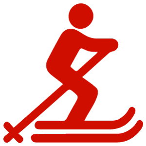1日コース